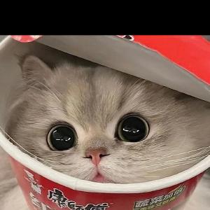 клоун младший