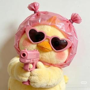 miniboginya