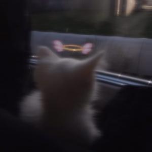 2919